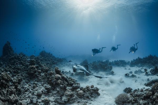 DSC0516-Bearbeitet_web