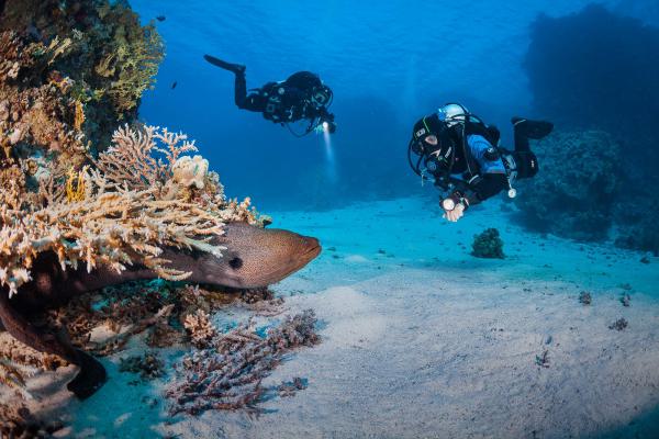 IMG_6095-Bearbeitet_web