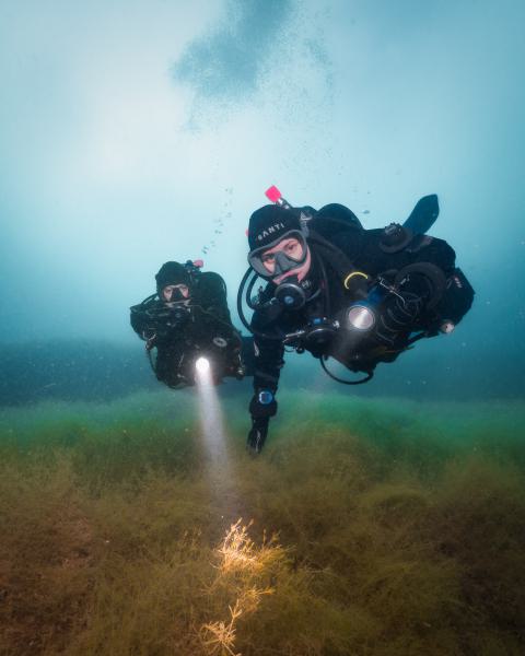 JM100705-Bearbeitet web