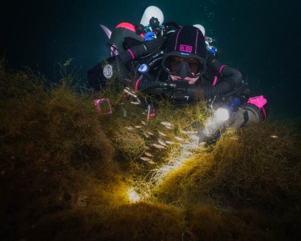 JM102593-Bearbeitet web